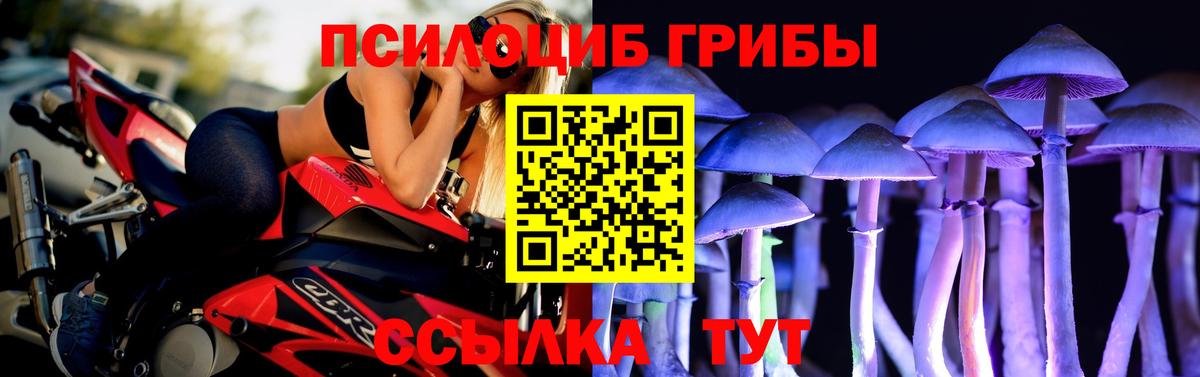 Кимовск  Галлюциногенные грибы прущие грибы  Псилоцибиновые грибы Cubensis  Вход с VPN 